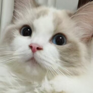 女同学凳子上压干脆面说食面埋福