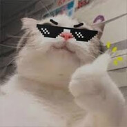 Wohs - steam id 76561198134265271