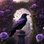 Purple_Raven