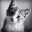 MEOW4LIFE