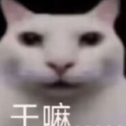 骗你的我根本没丢闪