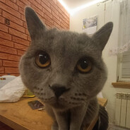 :3