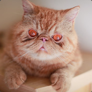 A.C - steam id 76561197971713167