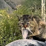 heerl1l | 中国智慧