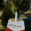 suwer