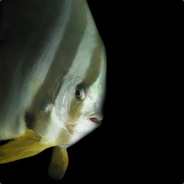 [CptMorgan]Captain Slow