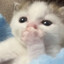 Baron