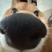 笑定千秋御不凡