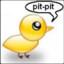 Pit