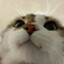 MYASO