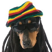 PUM PUM D3STR0Y3R