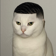 Freddo's avatar