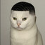 mismusfred