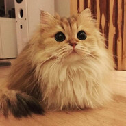 sugarkitties83924