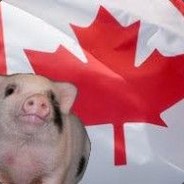 CanadianBacon