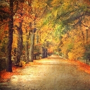 麻栗坡第一混子