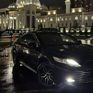 дима билайн