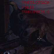 tod3434