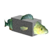 Шлакоблокунь