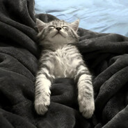 她总是来者不拒