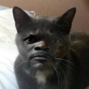 tomas020