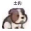 海狗突击大队长