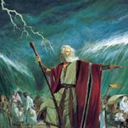 Moses