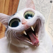 ฿₳ᏒẐⁱ฿₳Ł