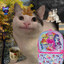 VT | Beguga's avatar