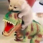 catosaurus