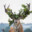 RonnyRagequit