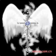 * > > )Flysky( < < *