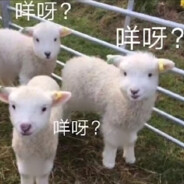 泼猴，我每天都在想你