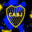 Player avatar