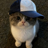 twitch.tv/xryst1k9
