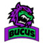 bucus настоящий