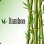 Bamboo