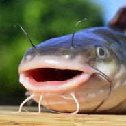 common nonprime gamer