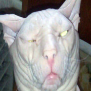 Серёга Сварка