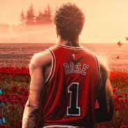 银言不会金铲铲