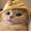 TUAN
