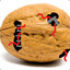 Withered A Walnut