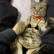 锅里有个p o t a t o