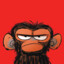 Grumpy Monkey