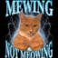 Gato mewing