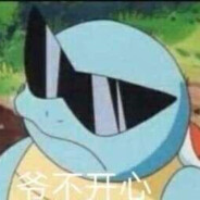 这个项目我投了