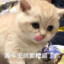删山老师