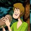 Shaggy