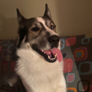 karaepta - steam id 76561199059202196