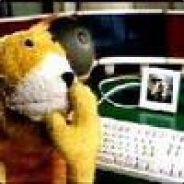 Mr. Oizo - steam id 76561197964999705